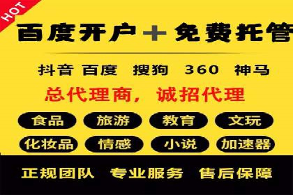 SEM竞价培训：实战案例解析与优化